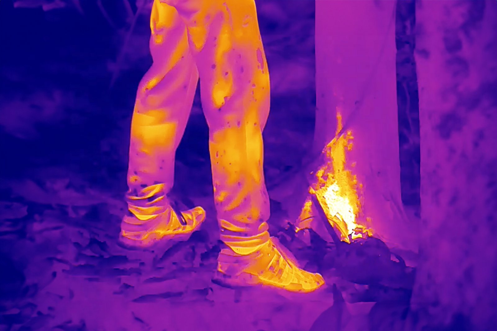 2.Robert Zhao Renhui, Thermal image of a walker in the forest, still from _The Owl, The Travellers and The Cement Drain_ (2024). Image courtesy of Robert Zhao Renhui.jpg