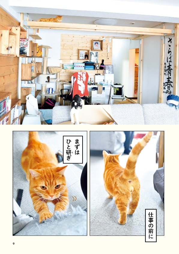 さらば青春の光 ポーチ 森東 会長 専務 猫 - タレントグッズ