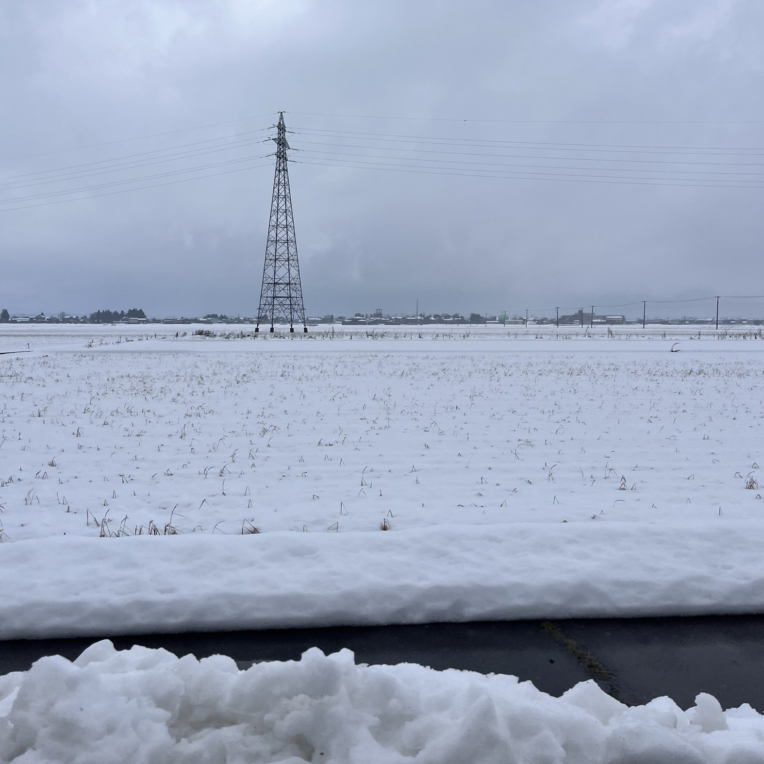 新潟の雪.jpg