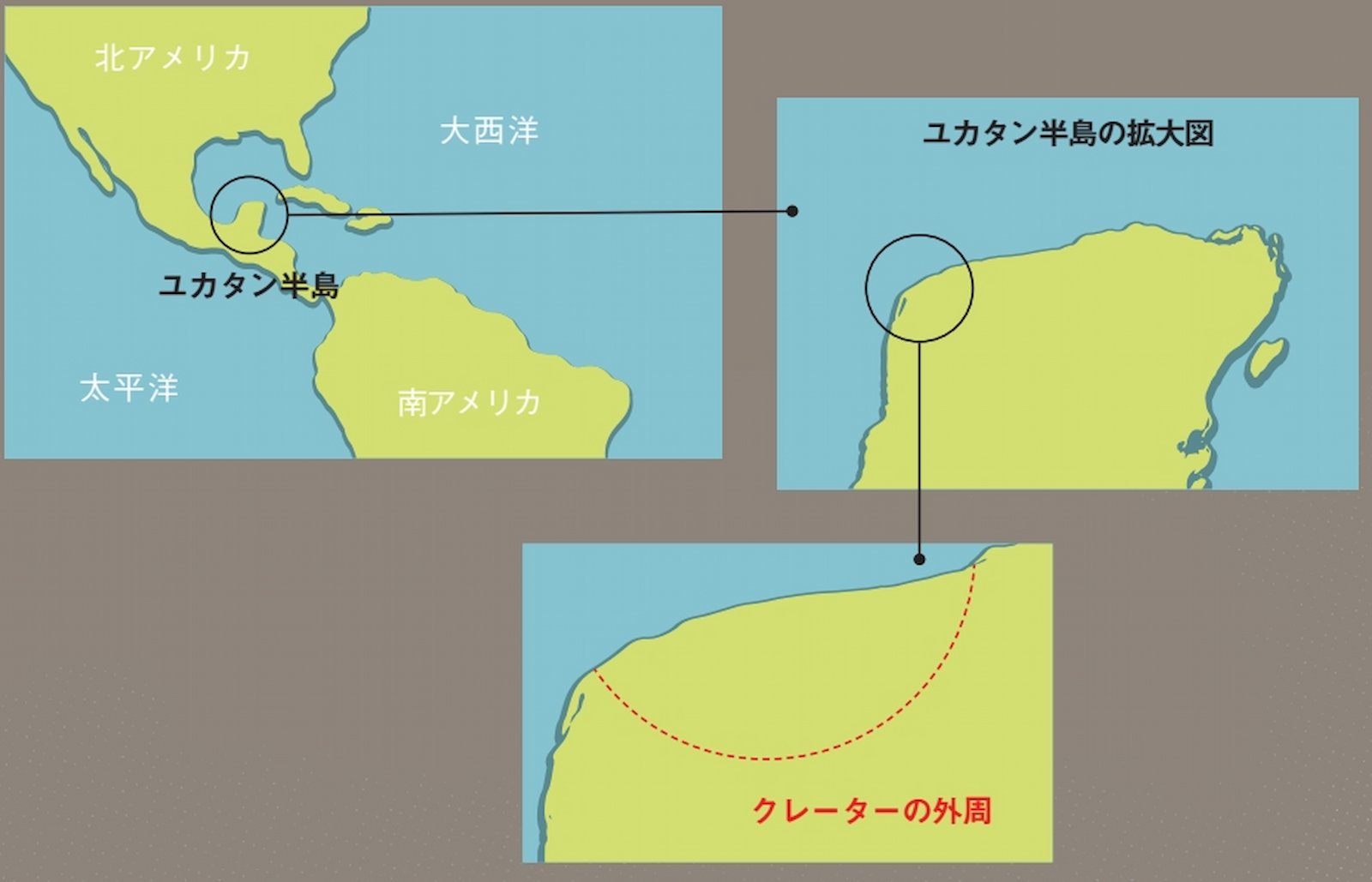 スクリーンショット_7-8-2024_17425_pubnext.jp.jpg